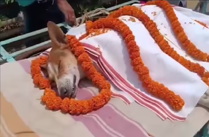ओडिशा में &lsquo;काली&rsquo; बनी हीरो, सांप से लड़ते हुए बचाई 30 बच्चों की जान