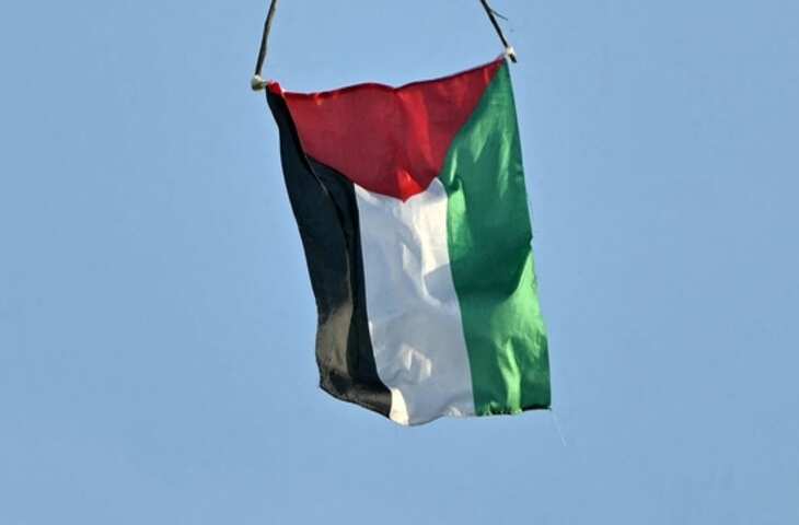 ईद के दौरान फिलिस्तीन का झंडा लहराने पर यूपी बिजली विभाग का कर्मचारी बर्खास्त: रिपोर्ट