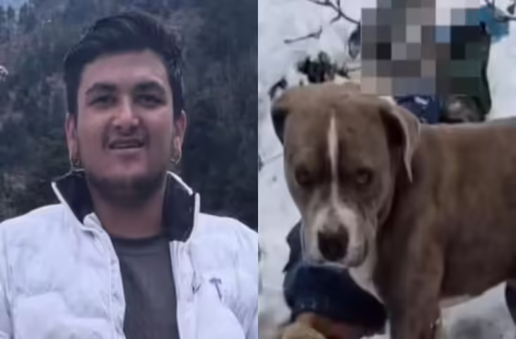 वफादारी की मिसाल!&nbsp;बर्फबारी में फंसे दो लड़कों के शव की रखवाली करता रहा कुत्ता, वीडियो देख भर आएंगी आँखें&nbsp;