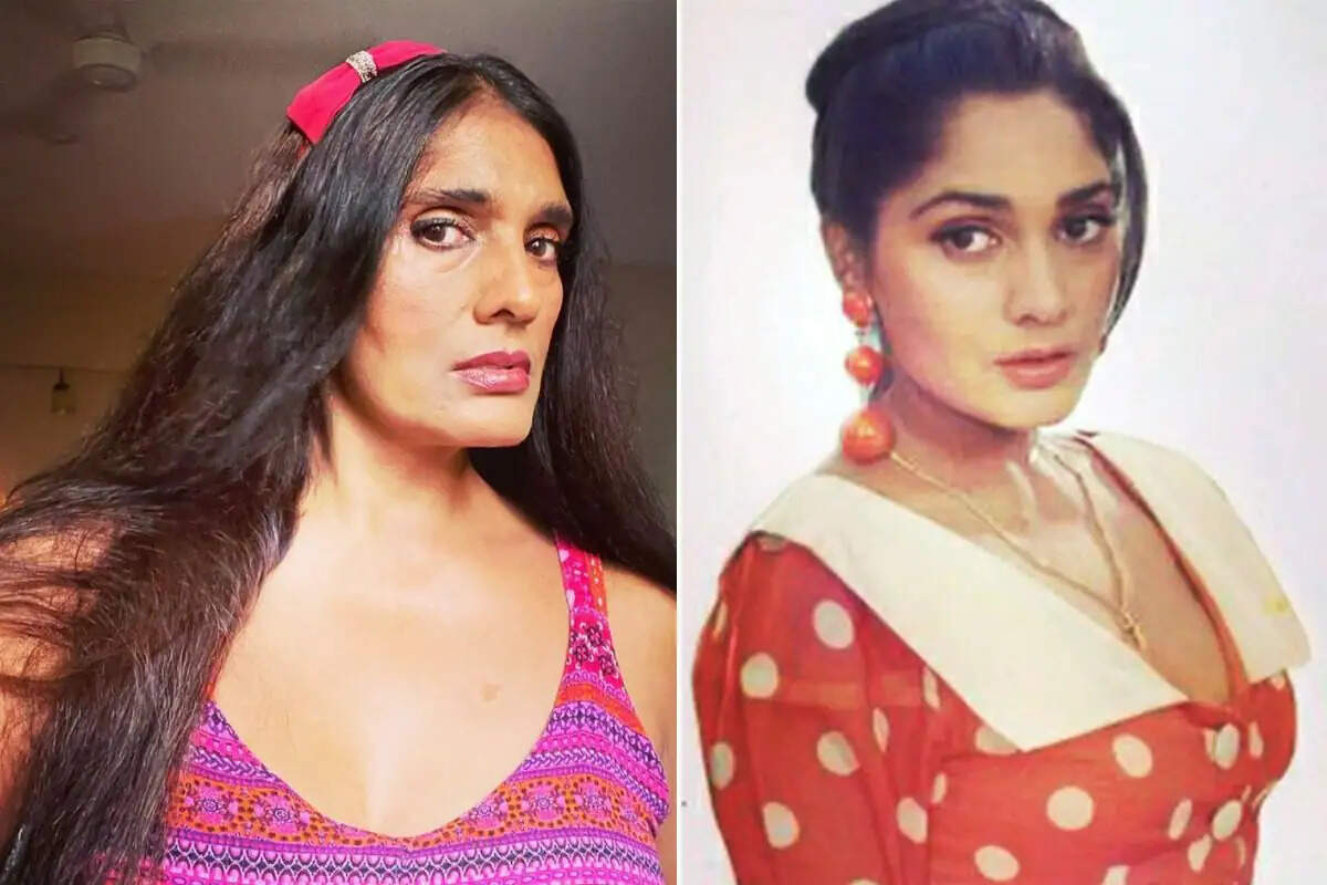 अनु अग्रवाल ने बॉलीवुड में वापसी को लेकर किया बड़ा खुलासा, 'Aashiqui 3' से बॉलीवुड में वापसी करेंगी एक्ट्रेस 