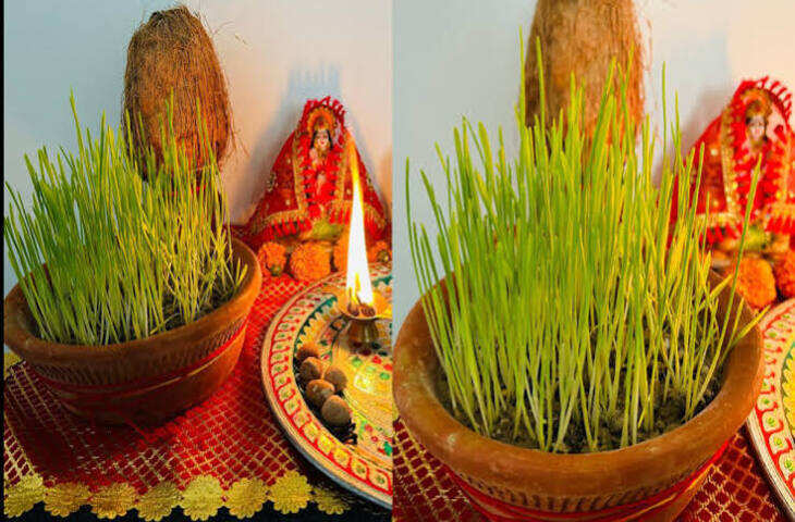 Shardiya Navratri 2026: नवरात्रि में जौ बोते समय मिट्टी में मिला दें ये 1 चीज, सिर्फ 2 दिन में उगेंगे घने और हरे-भरे जवारे
