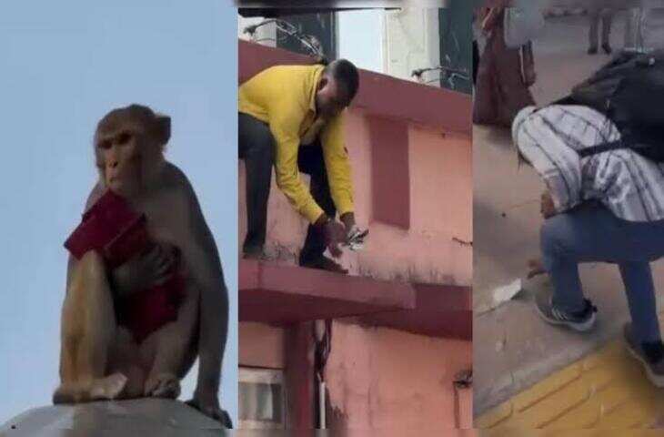  महिला का पर्स छीनकर बंदर ने उड़ाए ₹40 हजार; RPF ने एक-एक कर जुटाए नोट