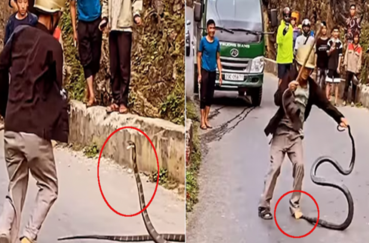 सड़क पर 'मौत' के साथ ​खिलवाड़ करने लगा शख्स, फिर जो हुआ देखकर कांप जाएगा कलेजा