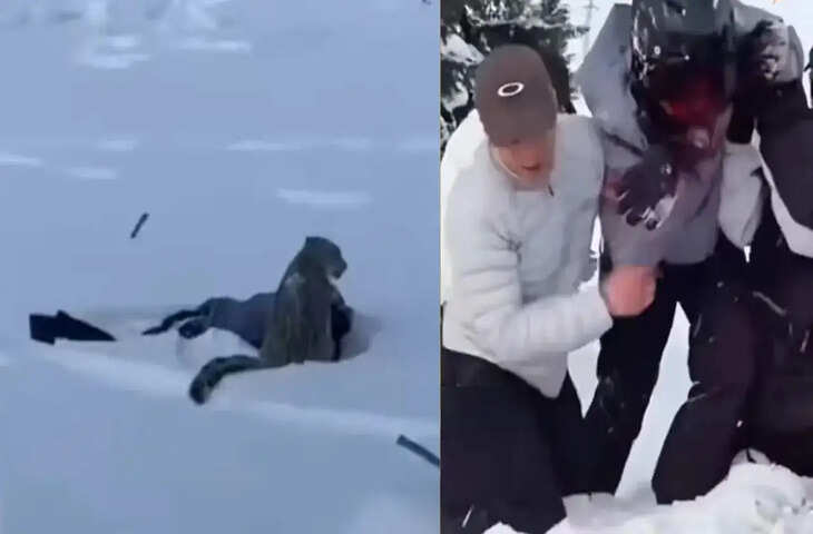 महिला पर्वतारोही पर पर हिम तेंदुआ का हमला, कैमरे में कैद हुआ खौफनाक मंजर, देखें Viral Video
