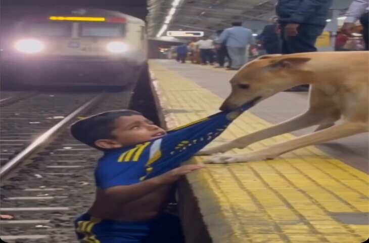Viral Video: रेलवे प्लेटफॉर्म पर फिसला बच्चा, पालतू कुत्ते ने खतरा भांपकर बचाई जान