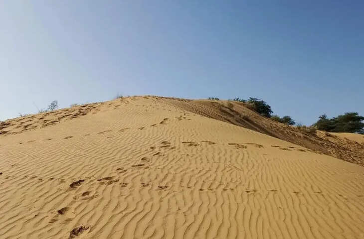 सम के मखमली धोरे बने जैसलमेर की पहचान, देश-विदेश से उमड़ रहे हजारों पर्यटक