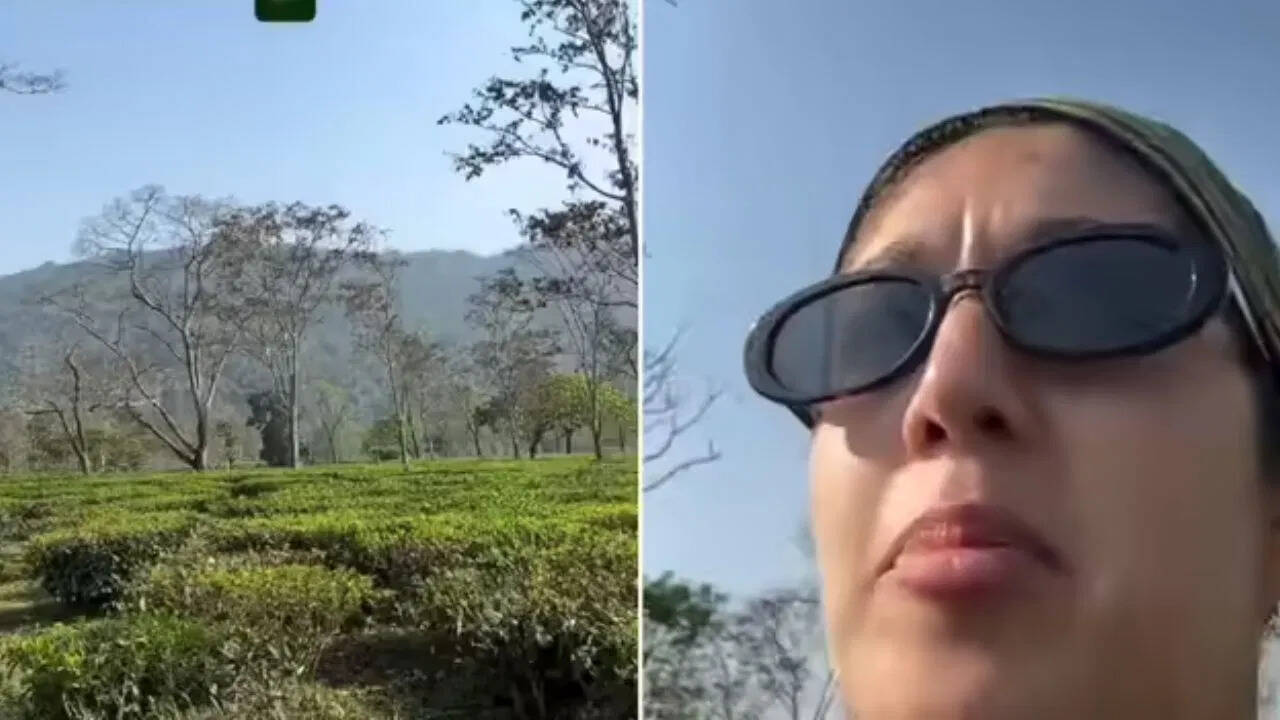 असम के हरे-भरे टी गार्डन की मनमोहक झलक, निया पटेल ने दिखाया प्रकृति और मेहनत का खूबसूरत संगम