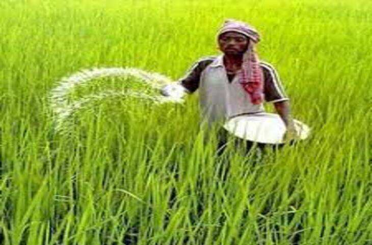 Begusarai गरमा फसल की बुआई करने वाले के लिए वर्षा फायदेमंद