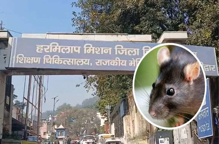 शव की आंखें और चेहरा खा गए चूहे… हरिद्वार जिला अस्पताल में लापरवाही, डॉक्टरों पर भड़के परिजन