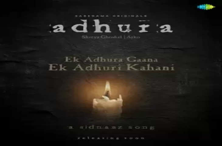 Siddharth Shukla, Shehnaz के अधूरे म्यूजिक वीडियो का नाम अधूरा रखा गया