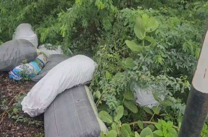 पुलिस से बचने को चंबल नदी में कूदे तस्करी के दो आरोपी, 100 फीट ऊंचाई से गिरने पर दोनों की मौत