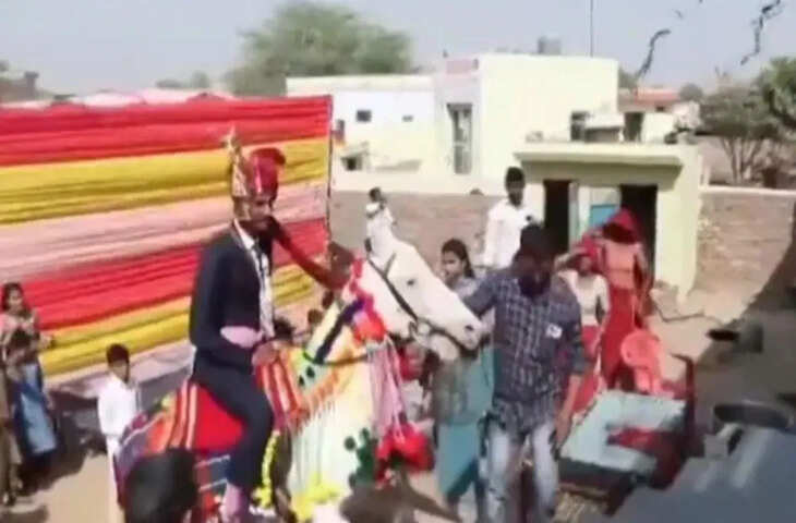 राजस्थान की शादी में खतरनाक स्टंट, घोड़ी पर सवार दूल्हे का वीडियो बना चर्चा का विषय
