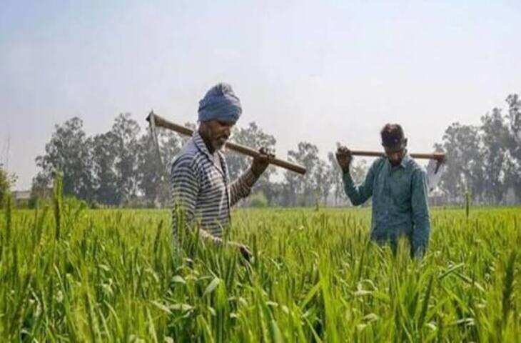 Haryana Farmers Scheme: किसानों को सिर्फ 63 पैसे में मिलेगा 50 हजार रुपये तक का दुर्घटना बीमा, जानें पूरी योजना