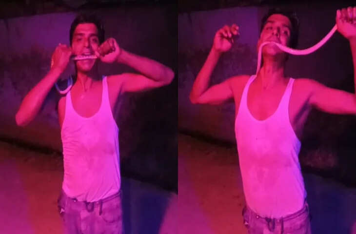 रील बनाने के चक्कर में कर बैठा खतरनाक स्टंट! मरे हुए सांप को मुंह में डालते ही हुआ ऐसा, वीडियो देख डर जाएंगे आप&nbsp;