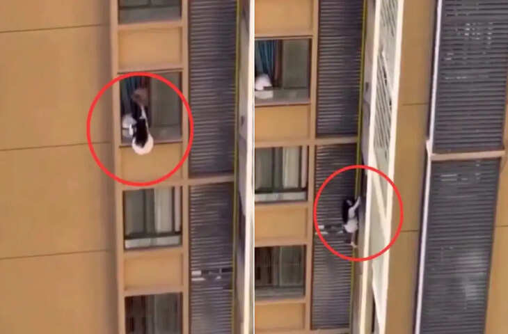 अपने पति को किसी और औरत के साथ रोमांस करता देखे पत्नी ने लगा दी छलांग, वीडियो देख काँप जायेगी रूह 