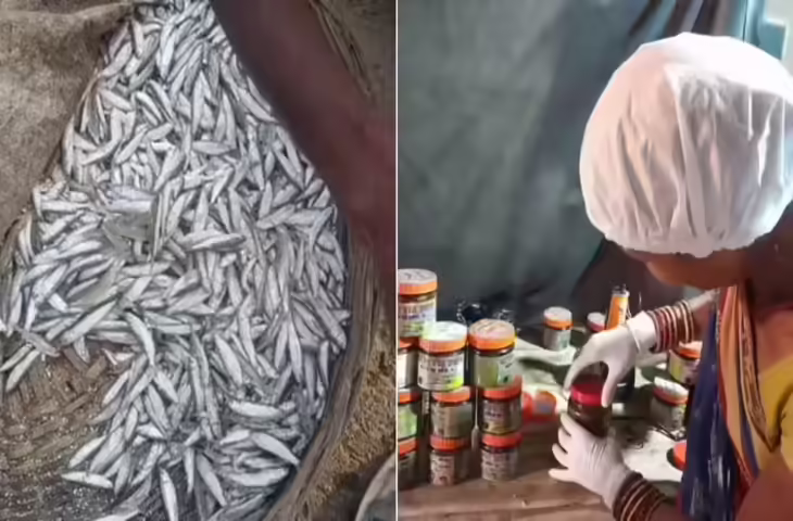 कोरोना संकट से बनी आत्मनिर्भरता की कहानी: मछली के अचार ने बदली महिलाओं की किस्मत