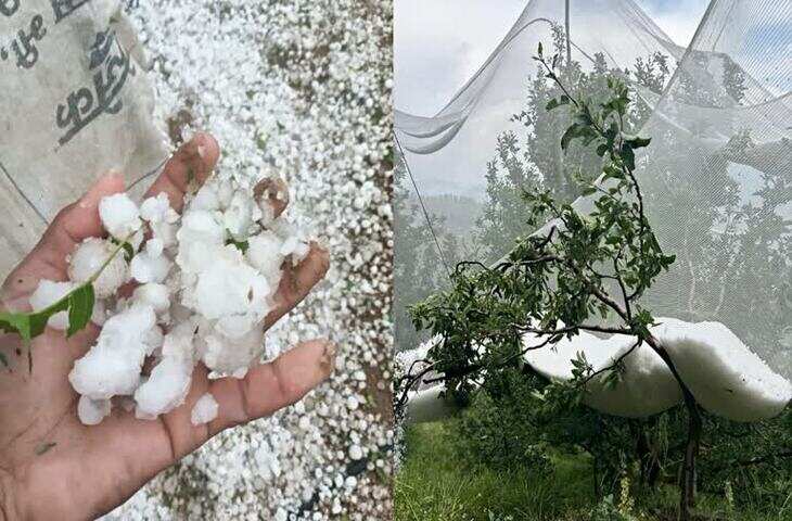 हिमाचल में मौसम का बदला मिजाज: बारिश के बाद ठंडक, वीडियो में देंखे मैदानी इलाकों में हीटवेव का अलर्ट