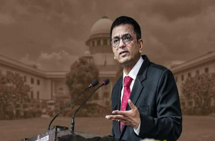 आरयू वीसी नियुक्ति को चुनौती देने वाले याचिकाकर्ता पर हाईकोर्ट सख्त, फुटेज में जानें क्यों लगा 5 लाख रुपये का जुर्माना?