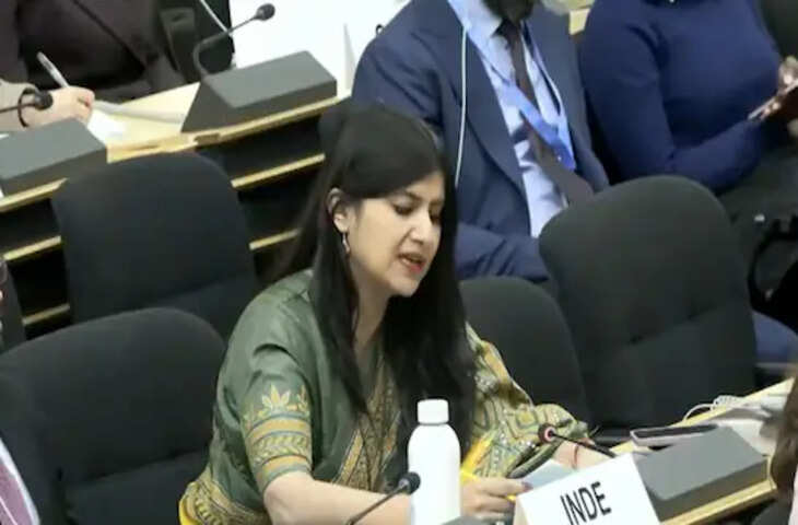 'कश्मीर का बजट तुम्हारी IMF भीख से ज्यादा...' भारत की बेटी ने UN मी पाकिस्तान को याद दिलाई उसकी औकात, देखे वीडियो&nbsp;