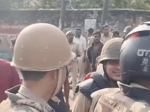 लखनऊ में अवैध डेयरियों पर नगर निगम का एक्शन, पुलिस-PAC के साथ पहुंची टीम; भैंसें पकड़कर हटाईं