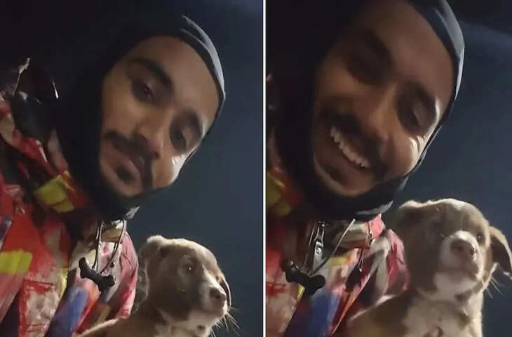 सड़क पर गाड़ियों के बीच फंसा था पिल्ला, देवदूत बना Zomato राइडर और बचाई बेजुबान की जान