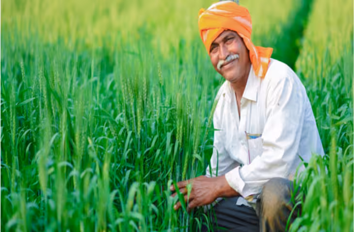 किसानों के लिए बड़ी खुशखबरी! कृषक उन्नति योजना से मिलेगा आर्थिक लाभ, जानें पात्रता, फायदे और आवेदन करने का आसान तरीका​​​​​​​