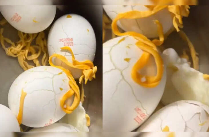 Video: सावधान! क्या आप भी खा रहे हैं &lsquo;प्लास्टिक&rsquo; के अंडे? वायरल वीडियो देख फटी रह जाएंगी आँखें&nbsp;