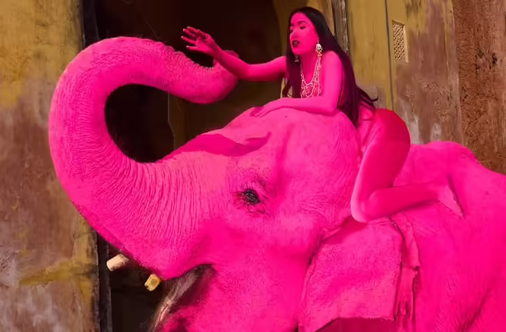 वीडियो में देंखे जयपुर में &lsquo;सेव द एलिफेंट डे&rsquo; पर प्रदर्शन, हाथी सवारी और फोटोशूट को लेकर जताई चिंता