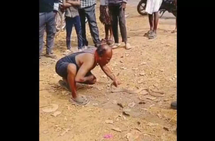 शख्स ने दिखाया हिम्मत का नया अंदाज, जहरीले कोबरा को मुंह से उठाने का वीडियो वायरल&nbsp;