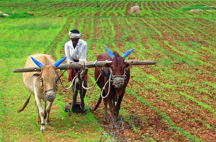 जानिए भारत का सबसे ऊंचा गांव कौन सा है