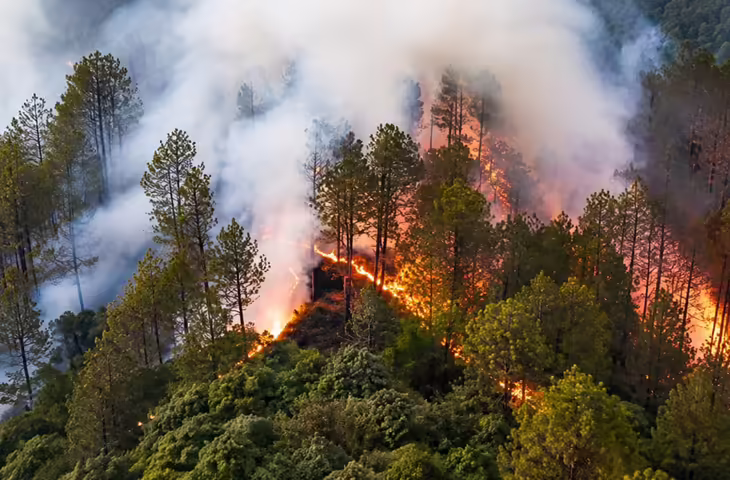 उत्तराखंड के जंगलों में भीषण आग: मसूरी के बाद चकराता धधका, एक दिन में 250 से ज्यादा फायर अलर्ट जारी