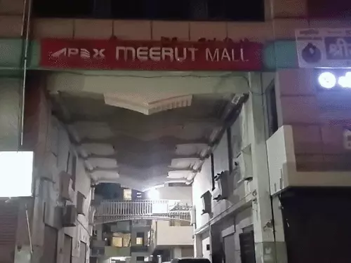 मेरठ में बिल्डर के घर-दफ्तर पर आयकर का सर्वे, तीन गाड़ियों में पहुंचे अफसर; TDS से जुड़ी बताई गई कार्रवाई