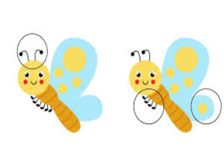 ऑप्टिकल इल्यूजन चैलेंज: क्या आप 10 सेकंड में ढूंढ पाएंगे 5 अंतर?