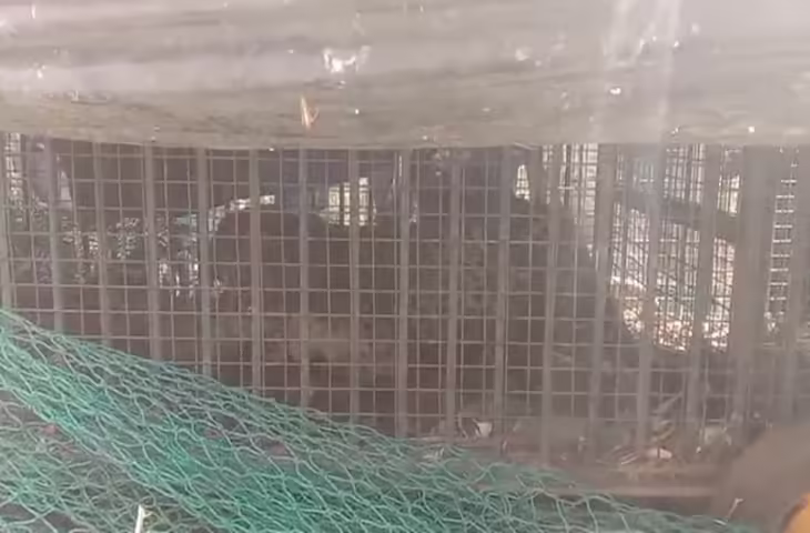 तेंदुए के हमले में किसान घायल, पांच घंटे चले अभियान के बाद वन विभाग ने पकड़ा.. गांव में अफरा-तफरी