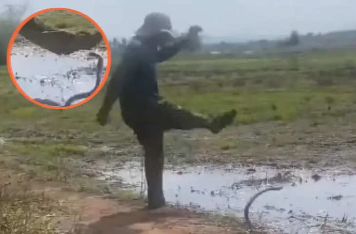 सांप को फुटबॉल की तरह उछालता दिखा युवक, वायरल वीडियो देख लोगों ने कहा- &lsquo;इसे मौत का डर ही नहीं&rsquo;