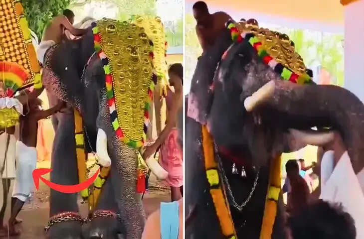 केरल में मंदिर उत्सव के दौरान हाथी बेकाबू, सोशल मीडिया पर वायरल हुआ खौफनाक वीडियो