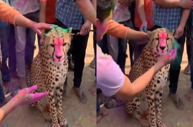 OMG : खूंखार चीते के साथ होली मनाते दिखे लोग, वायरल वीडियो ने उड़ाए लोगों के होश&nbsp;