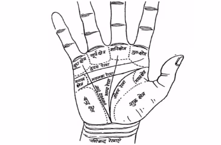 Palmistry: हथेली की ये रेखाएं और पर्वत बताते हैं सरकारी नौकरी के संकेत? जानें हस्तरेखा शास्त्र में क्या है मान्यता