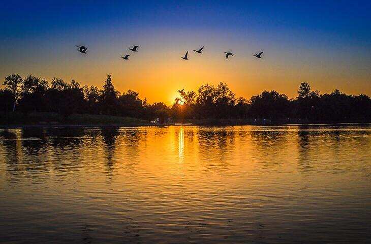 Waseem Barelvi Shayari: मशहूर शायर वसीम बरेलवी के सबसे बड़े और मशहूर शेर 