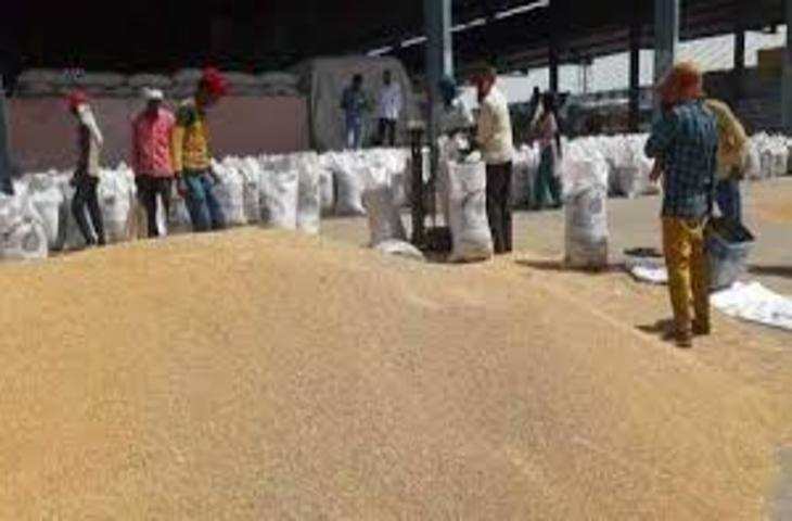 Faridabad मंडियों में अनाज का उठान नहीं होने से व्यापारी नहीं कर रहे किसानों का भुगतान, बढ रही मुश्किलें