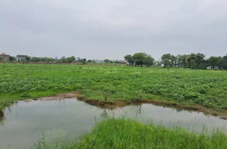 टीकमगढ़ में 24 घंटे में 1.5 इंच बारिश: बढ़ा बान सुजारा बांध का जलस्तर, आज खुलेगा तीसरा गेट