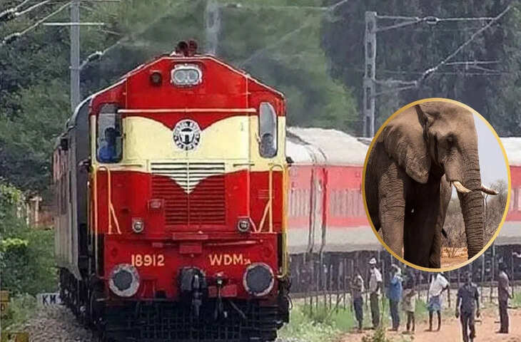 भयानक रेल हादसा! असम में हाथियों के झुंड से टकराई राजधानी एक्सप्रेस, 8 हाथियों की दर्दनाक मौत&nbsp;