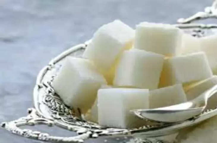 do these vastu upay of camphor 