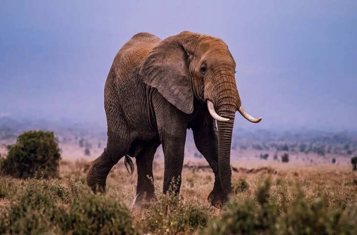 गुरुग्राम ट्रैफिक से परेशान युवक का फूटा गुस्सा, वीडियो वायरल