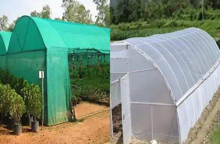 खेती से कमाई बढ़ाने का शानदार मौका! सरकार की मदद से बनाएं पॉलीहाउस-ग्रीनहाउस, जानिए सब्सिडी और कमाई का पूरा गणित