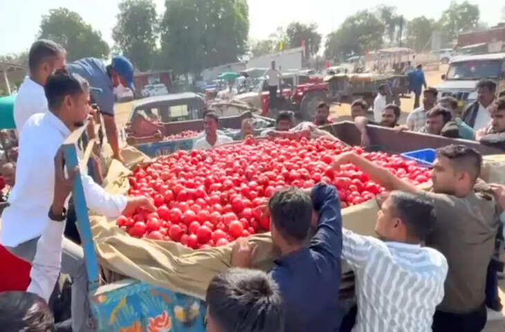 जालोर बना देश का सबसे बड़ा अनार हब, एक्सक्लूसिव फुटेज में देंखे &lsquo;सिंदूरी अनार&rsquo; ने अंतरराष्ट्रीय बाजार में बनाई खास पहचान
