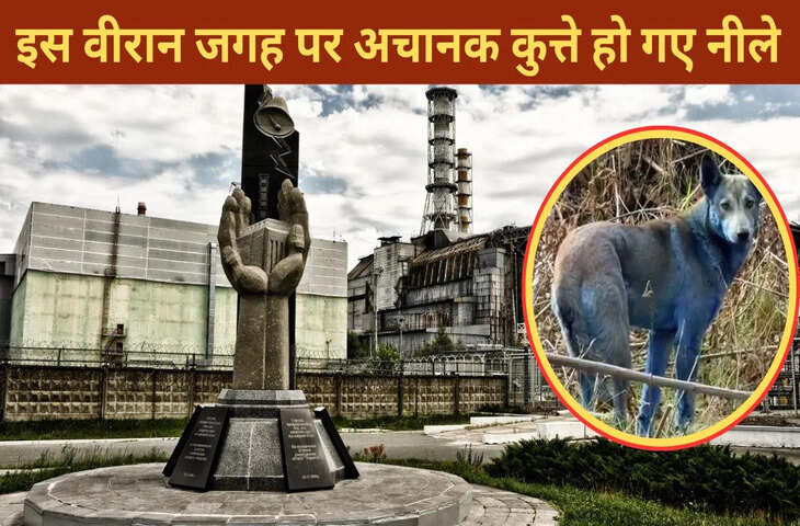 जिस जगह हुआ था भयानक हादसा, वहां रहस्यमय तरीके से नीले पड़ने लगे कुत्ते, कर्मचारियों के उड़े होश