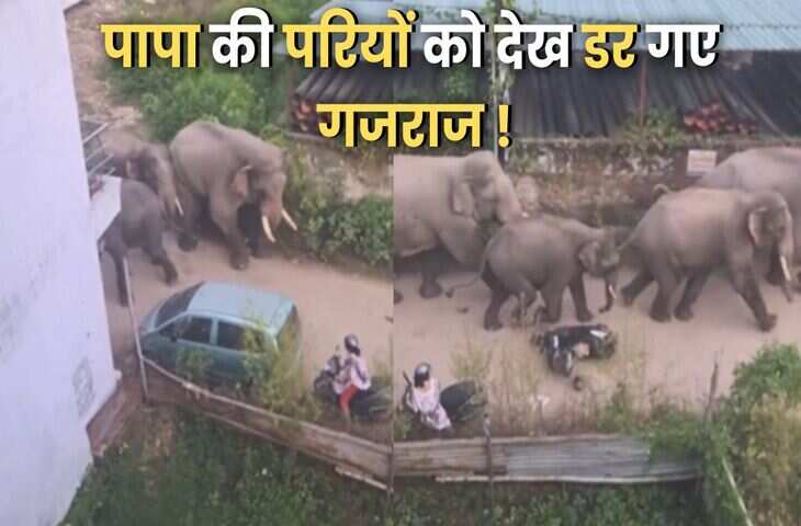 पापा की परियों की ड्राइविंग देखकर तो गजराज भी डर गए, वायरल वीडियो को देख नहीं रुक रही लोगों की हंसी&nbsp;