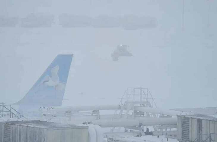 टेकऑफ के कुछ सेकंड बाद Bombardier Challenger 600 क्रैश! एयरपोर्ट पर मची अफरा-तफरी