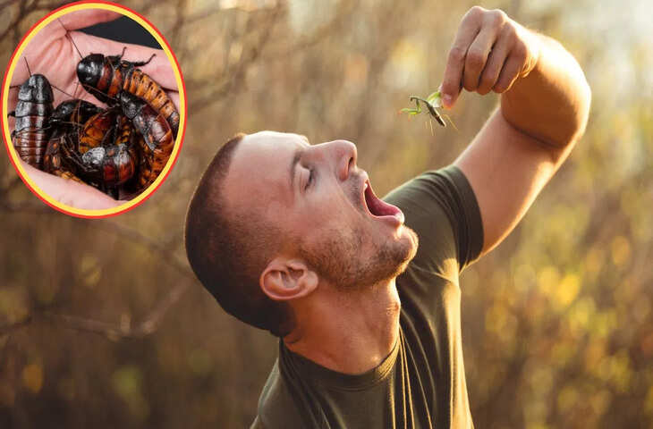 हर दिन 100 जिंदा कीड़े खा जाता है ये बंदा, बताई ऐसी वजह, जानकर गुस्से से भर जाएंगे आप